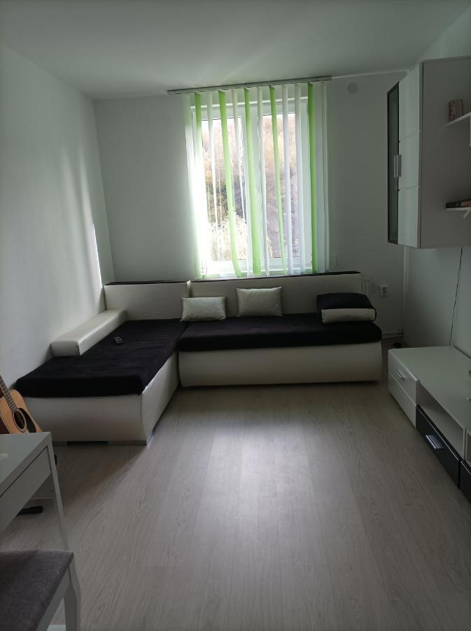 Uricani  Apartament Doua Camere מראה חיצוני תמונה